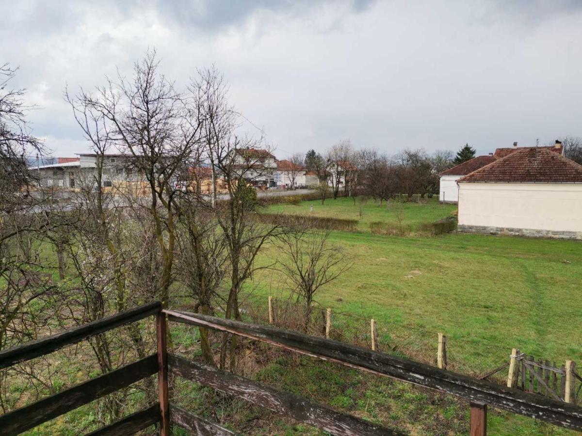 Vila Milica Kraljevo Kültér fotó
