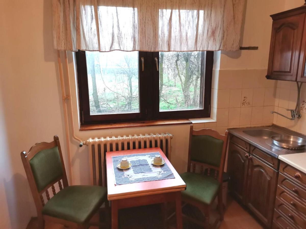 Vila Milica Kraljevo Kültér fotó