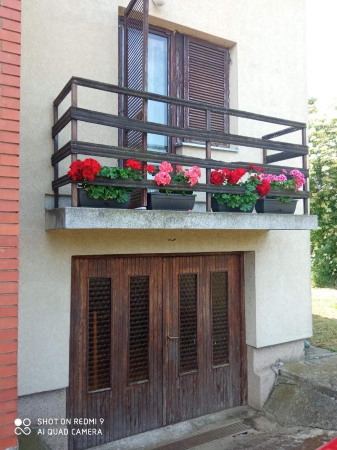 Vila Milica Kraljevo Kültér fotó